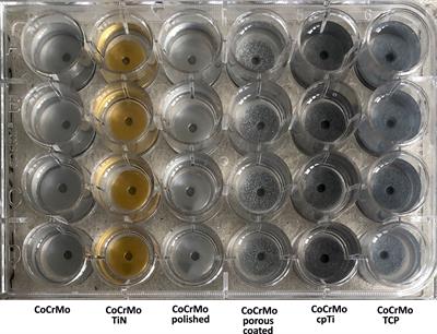 Effect of Cobalt–Chromium–Molybdenum Implant Surface Modifications on Biofilm Development of S. aureus and S. epidermidis